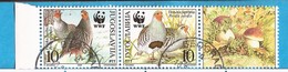 2000  2966-69 WWF  FAUNA BIRDS JUGOSLAVIJA JUGOSLAWIEN USED - Oblitérés