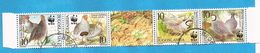 2000  2966-69 WWF  FAUNA BIRDS JUGOSLAVIJA JUGOSLAWIEN USED - Used Stamps