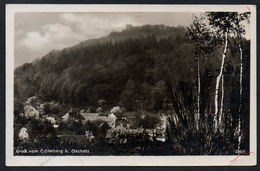 9245 - Alte Foto Ansichtskarte - Gruß Vom Collmberg Bei Oschatz - Landpost Landpoststempel - Gel 1931 - Brück & Sohn - Oschatz