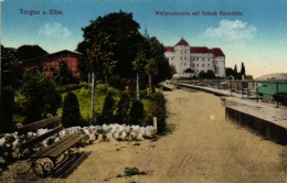 Torgau, Wallpromenade Mit Schloß Hartenfels, Um 1915 - Torgau