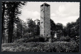 8493 - Alte Foto Ansichtskarte - Uslar Im Solling - Turm Sollingturm - N. Gel TOP - Uslar