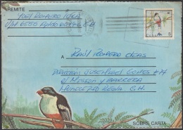 1987-EP-174 CUBA 1987. Ed.203. TOCORORO. AVES BIRD PAJAROS. ANGOLA WAR PORTE PAGADO COVER. MILITAR MAIL CENSORSHIP. - Lettres & Documents