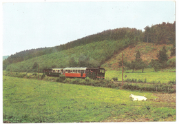 Erezée - Tramway Touristique De L'Aisne - Erezée