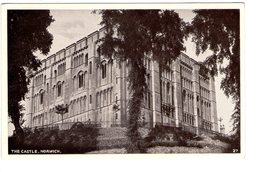 S2011 Postcard, Small Size - ENGLAND, Norfolk - THE CASTLE, NORWICH _ NOT WRITED _ Chateau, Castel, Schloss - Norwich