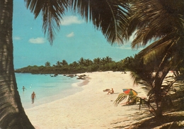 - GRANDE COMORE. - La Plage De Maloudja - Photo MOSER. - - Comores