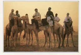 - NIGER.- Teguidda N'Tessoumt.  La "cure Salée" - Poto Michel Renbaudeau. - Scan Verso - - Niger