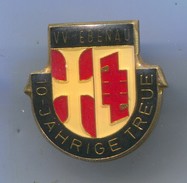 VOLLEYBALL - V V EBENAU, Austria, Vintage Pin, Badge, Abzeichen - Voleibol