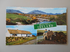 IRLANDE DU NORD BEAUTIFUL IRELAND - Andere & Zonder Classificatie