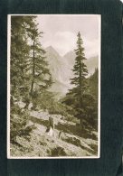 67028     Austria,  Sandestal Mit Gschnitzer- Und  Pflerscher- Tribulaun "Auf Dem  Wege Zur Tribulaunhutte",  VGSB  1931 - Igls