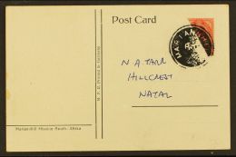 BISECT USED ON POSTCARD Coloured Picture Postcard Produced For Mariannhill Mission, Franked With KGV 1d, Cancelled... - Sin Clasificación