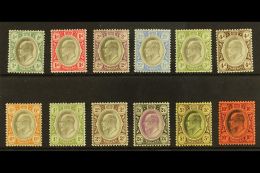 TRANSVAAL 1902 Ed VII Set To 10s Complete, SG 244/55, Very Fine And Fresh Mint. (12 Stamps) For More Images,... - Sin Clasificación