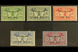 POSTAGE DUES 1925 Overprint Set, Additionally Ovptd £Specimen", SG D1s/5s, Very Fine Mint. (5 Stamps) For... - Altri & Non Classificati
