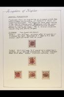 NAPLES 1859 - 1861 Engraved Postal Forgeries - Superb Collection Written Up On Display Pages, Several With Expert... - Non Classificati