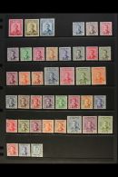 1953-1958 COMPLETE SUPERB MINT COLLECTION On Stock Pages, All Different, Inc Complete From 1953 Coronation Set... - Iraq