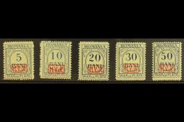 ROMANIA POSTAGE DUES 1918 "M.V.i.R." Overprints No Watermark Complete Set (Michel 1/5, SG D1B/5B), Never Hinged... - Other & Unclassified
