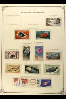 NEW CALEDONIA 1964-1976 NHM COMPLETE AIR POST COLLECTION In Mounts On Yvert Printed Pages (Yv 75/175), Superb... - Autres & Non Classés