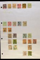 NEW CALEDONIA 1881-1904 All Different FINE USED Collection On Pages. Note 1881-83 "05" On 40c, 1886 5c On 1f,... - Other & Unclassified