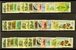 1968-72 FLORAL SETS Presented On A Stock Card. Includes 1968 Flower Definitive Set (SG 232/45), 1971 New Currency... - Islas Malvinas