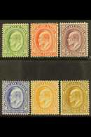 1904-12 ½d To 1s Set Complete, SG 43/48, Very Fine Mint. (6 Stamps) For More Images, Please Visit... - Islas Malvinas