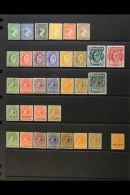 1891-1921 FINE MINT COLLECTION On A Stock Page, ALL DIFFERENT, Inc 1891-1902 To 2½d, 4d, 6d & 9d, Plus... - Falkland