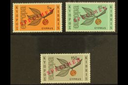 SPECIMENS 1965 Europa Set Overprinted "SPECIMEN," As SG 267/9, Never Hinged Mint (3). For More Images, Please... - Other & Unclassified