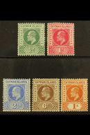 1902-03 Complete Set, SG 3/7, Fine Mint. (5) For More Images, Please Visit... - Iles Caïmans