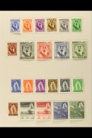 1953-64 VERY FINE MINT COLLECTION On Album Pages, Much Is Never Hinged. ALL DIFFERENT Range Including 1953... - Bahrain (...-1965)