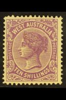 WESTERN AUSTRALIA 1902-11 10s Deep Mauve Perf 12x12½, SG 127, Fine Mint, Usual Streaky Gum For More Images,... - Otros & Sin Clasificación