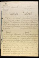 PACIFIC STEAM NAVIGATION COMPANY 1896 Contract Between The Portuguese Post Office And The Pacific Steam Navigation... - Autres & Non Classés