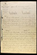 PACIFIC STEAM NAVIGATION COMPANY 1896 Contract Between The Portuguese Post Office And The Pacific Steam Navigation... - Other & Unclassified