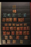 INTERESTING ESTATE COLLECTION IN ALBUMS/STOCKBOOKS With British Commonwealth QV To 1960's Mint & Used... - Altri & Non Classificati