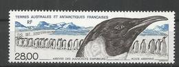 TAAF ANTARTCTIC ANTARTIDA POLO SUR PINGÜINO EMPERADOR PENGUIN AVE - Fauna Antártica