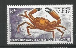 TAAF ANTARTCTIC ANTARTIDA POLO SUR CANGREJO CRAB FAUNA - Faune Antarctique