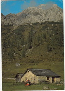 Oberdrauburg Krtn. - Von Der Unholden-Alm 1780 M Zum Dreitörlweg 213 - (Austria) - Oberdrauburg