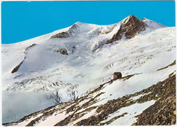 Neue PRAGERHÜTTE, 2800 M Mit Rainer Horn 3560 M Und Schwarze Wand 3511 M.  - (Tirol, Austria) - Matrei In Osttirol