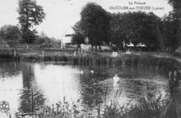 OUZOUER SUR TREZEE - 45 - Le Prieuré - 78740 - Ouzouer Sur Loire