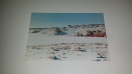 C-49803 QASIGIANNGUIT PANORAMA - Groenlandia