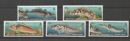 BRITISH ANTARCTIC TERRITORY  ANTARTIDA POLO SUR ANTARCTICA FISH - Faune Antarctique