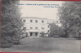 Watermaal-Bosvoorde - Watermael-Boitsfort Chateau De M. Le General Du Roy De Blicquy Roi CPA (In Zeer Goede Staat) - Watermael-Boitsfort - Watermaal-Bosvoorde