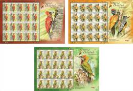 MALAYSIA 2013  Sheet Sheetlet Set  Woodpecker Bird Stamp MNH - Malaysia (1964-...)