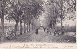 PRECY-SUR-OISE - L'ALLEE DES MARONNIERS - Précy-sur-Oise