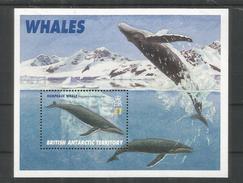 BRITISH ANTARCTIC TERRITORY  ANTARTIDA POLO SUR ANTARCTICA BALLENA WHALE MAMIFERO - Antarctische Fauna