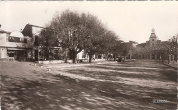 CP Montauroux L'Hôtel De Ville 83 Var - Montauroux