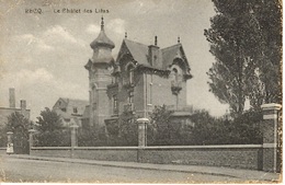 Pecq. Le Châlet Des Lilas. - Pecq