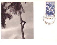AOF - GUINEE FRANCAISE - IONYL - CARTE MAXIMUM - GUINEE - RECOLTE DES NOIX DE COCOS. - Soudan (1954-...)