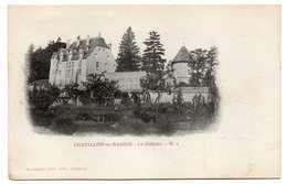 CHATILLON EN BAZOIS -- Le Chateau  N°2  éd  Desvignes  ----   Carte Précurseur - Chatillon En Bazois