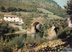 G , Cp , 64 , BIDARRAY , Le Pont Noblia Sur La Nive - Bidarray
