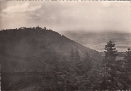 G , Cp , 67 , LE MONT SAINTE-ODILE , 763 M. , Vue Sur La Plaine D'Alsace - Sainte Odile