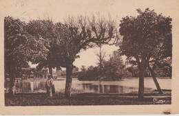 17 / 1 /  352  -    VIGNEUX  SUR  SEINE  -  LE  LAC - Vigneux Sur Seine