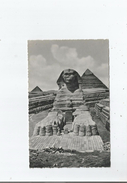 THE GREAT SPHINX OF GIZA 13 - Gizeh